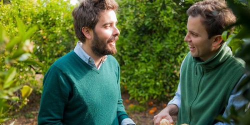 Crowd farming Španjolska