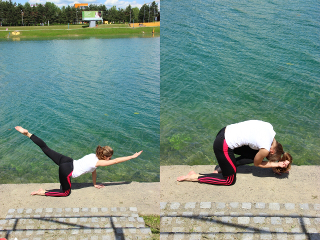 Vježbe za kralježnicu tigar