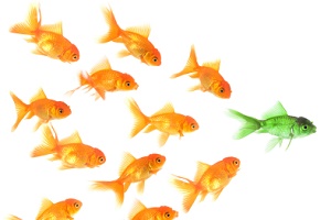 Vođenje tima Ramiro otvorena radionica