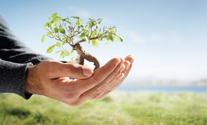 Reinvestirana dobit Gordan Horbec